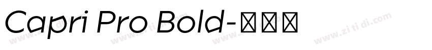 Capri Pro Bold字体转换